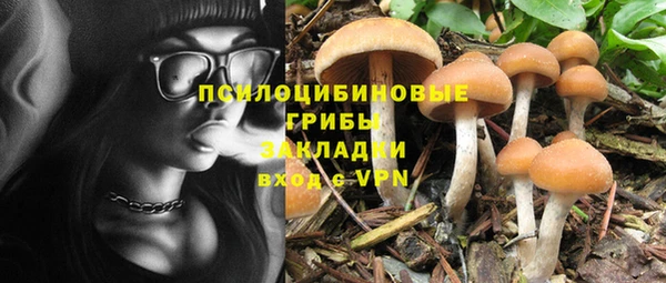 марки lsd Абаза