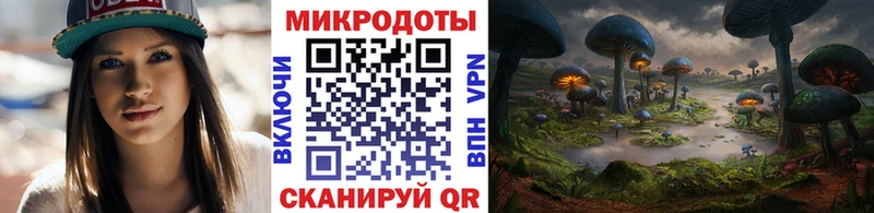 Псилоцибиновые грибы Cubensis  Каменногорск 